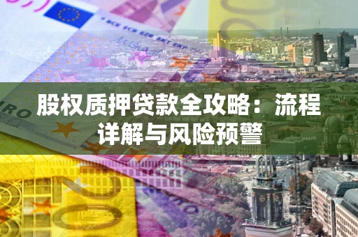 武汉股权质押贷款全攻略：流程详解与风险预警