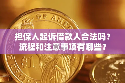 武汉担保人起诉借款人合法吗？流程和注意事项有哪些？