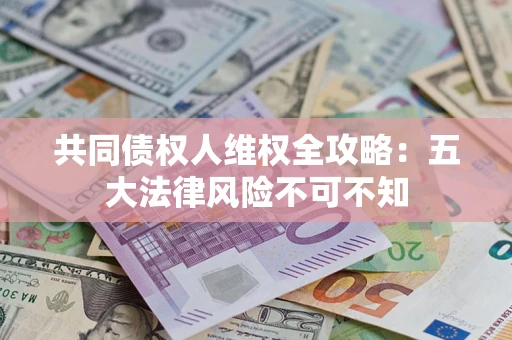 武汉共同债权人维权全攻略：五大法律风险不可不知