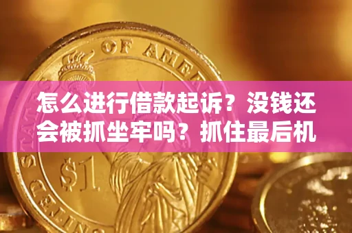 武汉怎么进行借款起诉？没钱还会被抓坐牢吗？抓住最后机会！
