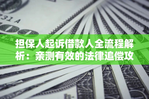 武汉担保人起诉借款人全流程解析：亲测有效的法律追偿攻略