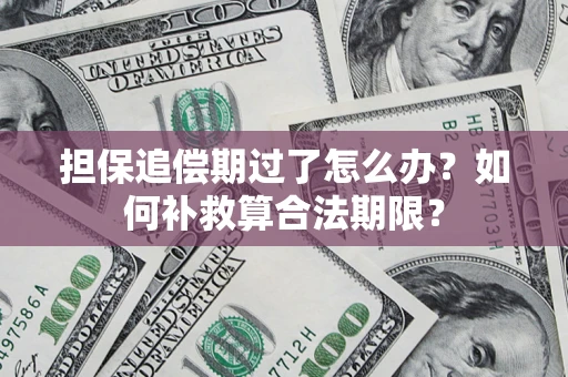 武汉担保追偿期过了怎么办？如何补救算合法期限？