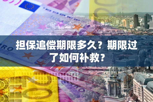 武汉担保追偿期限多久？期限过了如何补救？
