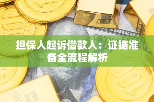 武汉担保人起诉借款人：证据准备全流程解析