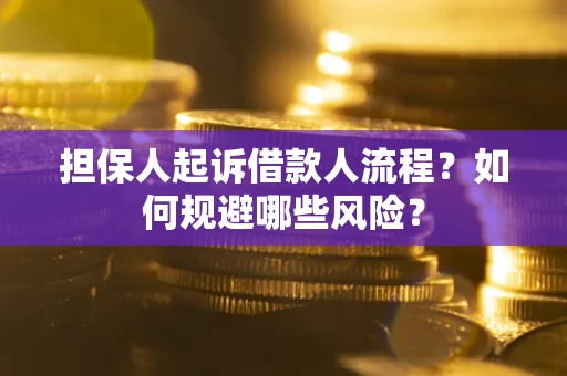 武汉担保人起诉借款人流程？如何规避哪些风险？