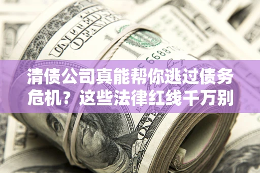 武汉清债公司真能帮你逃过债务危机？这些法律红线千万别踩