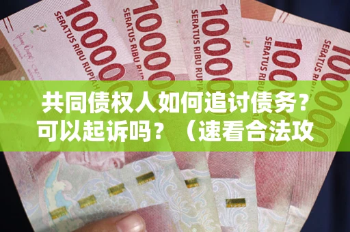 武汉共同债权人如何追讨债务？可以起诉吗？（速看合法攻略）