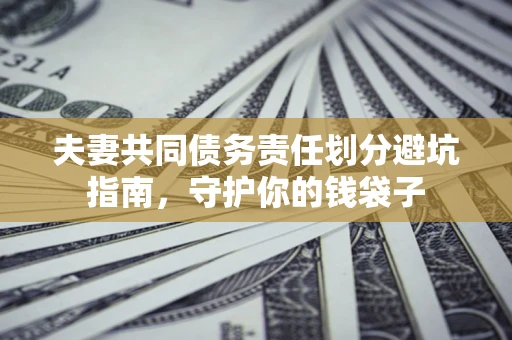 武汉夫妻共同债务责任划分避坑指南，守护你的钱袋子