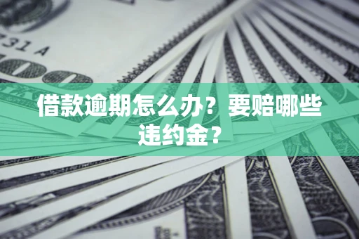 武汉借款逾期怎么办？要赔哪些违约金？