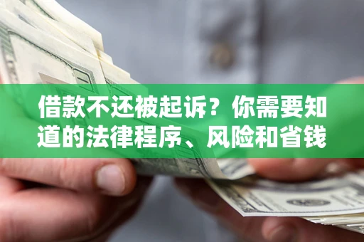 武汉借款不还被起诉？你需要知道的法律程序、风险和省钱技巧