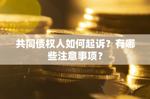 武汉共同债权人如何起诉？有哪些注意事项？